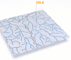 3d view of Sele