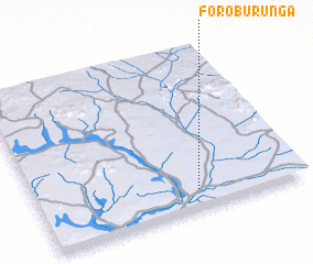 3d view of Foro Burunga