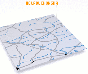 3d view of Wola Buchowska