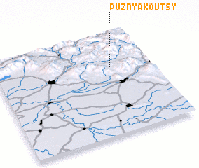 3d view of Puznyakovtsy