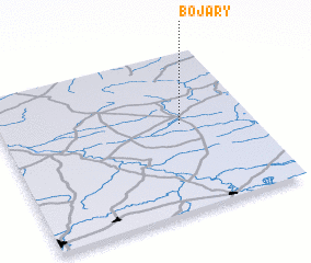 3d view of Bojary