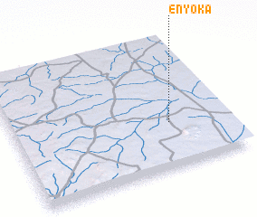 3d view of Enyoka