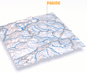 3d view of Padine