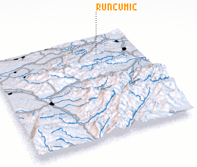 3d view of Runcu Mic