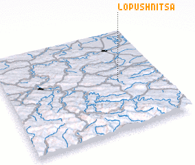 3d view of Lopushnitsa