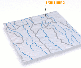 3d view of Tshitumba