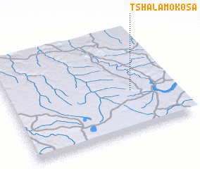 3d view of Tshalamokosa