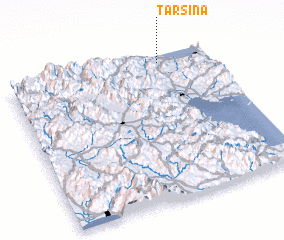 3d view of Tarsiná