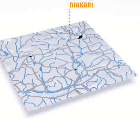 3d view of Niakari