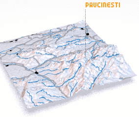 3d view of Păucineşti