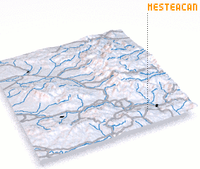 3d view of Mesteacăn