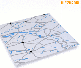 3d view of Nieznanki