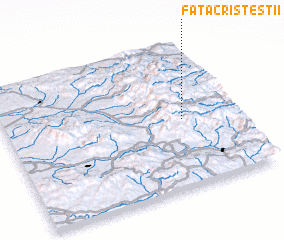 3d view of Faţa Cristeştii