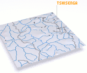 3d view of Tshisenga