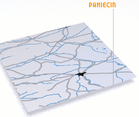 3d view of Pamięcin