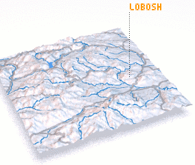 3d view of Lobosh