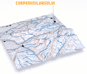 3d view of Curpenii-Silvaşului