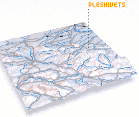 3d view of Pleshivets