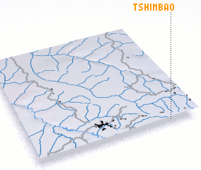 3d view of Tshimbao