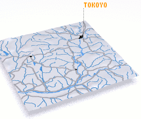 3d view of Tokoyo