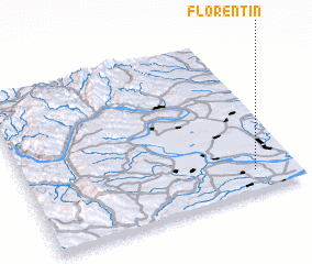 3d view of Florentin