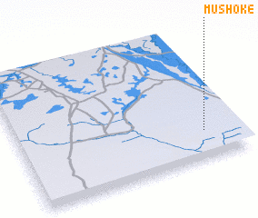 3d view of Mushoke