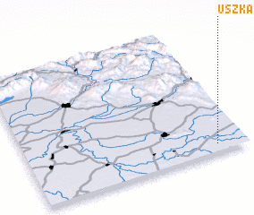 3d view of Uszka