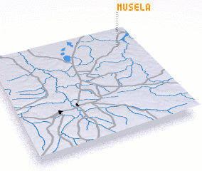 3d view of Musela