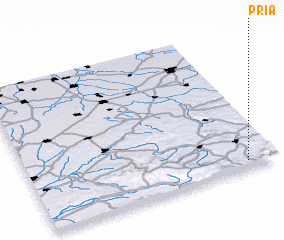 3d view of Pria