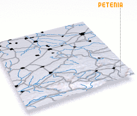 3d view of Petenia