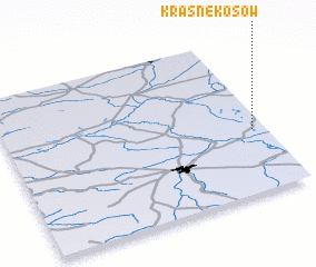 3d view of Krasne Kosów