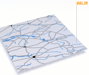 3d view of Walim