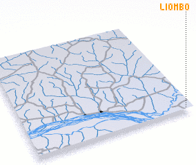 3d view of Liombo