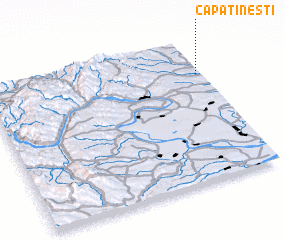 3d view of Căpăţîneşti