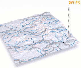 3d view of Peleş