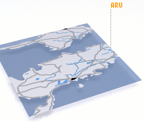 3d view of Aru