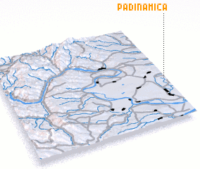 3d view of Padina Mică