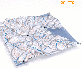 3d view of Peletá