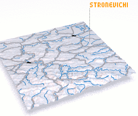 3d view of Stronevichi