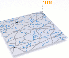3d view of Netta