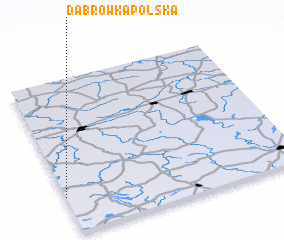 3d view of Dąbrówka Polska