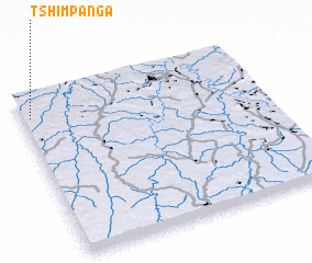 3d view of Tshimpanga