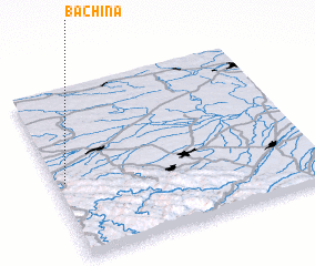 3d view of Bachina