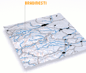 3d view of Brădineşti