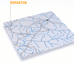 3d view of Bongatua