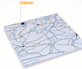 3d view of Ribuka