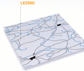 3d view of Leśniki