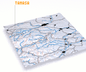 3d view of Tămaşa