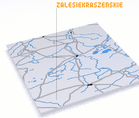 3d view of Zalesie Kraszeńskie