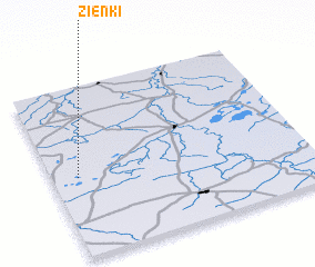 3d view of Zienki